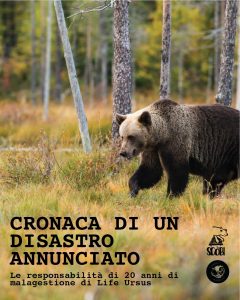 WhatsApp Image 2023-04-14 at 10.43.39