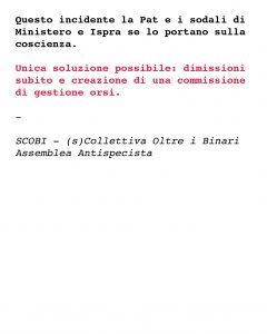 WhatsApp Image 2023-04-14 at 10.43.41